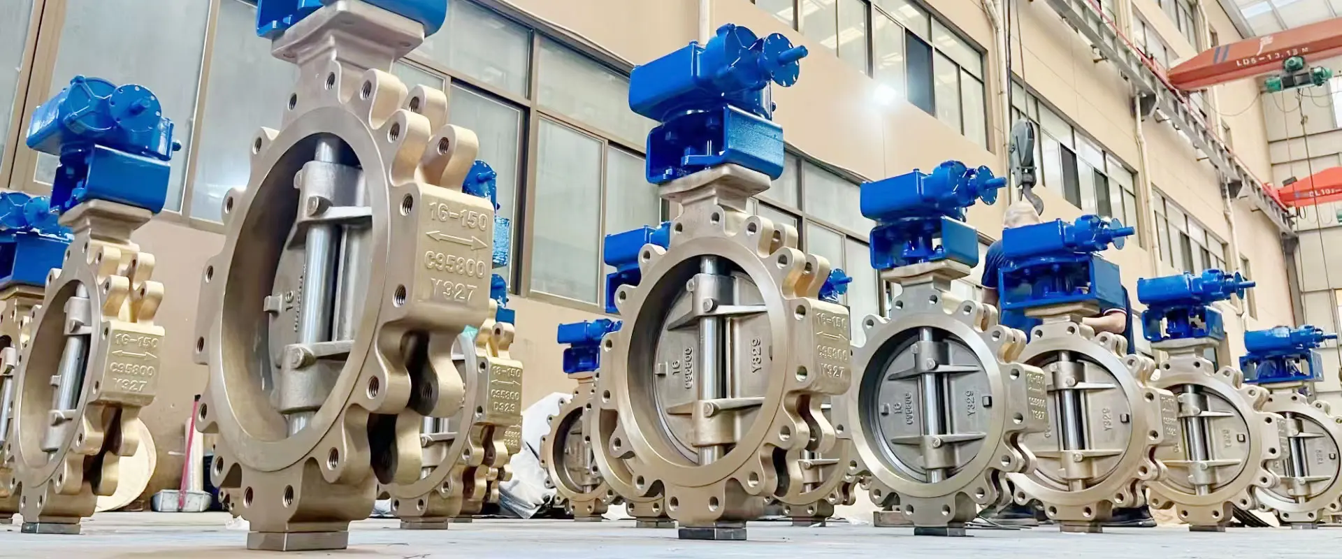 Comhla féileacán ar ardchaighdeán