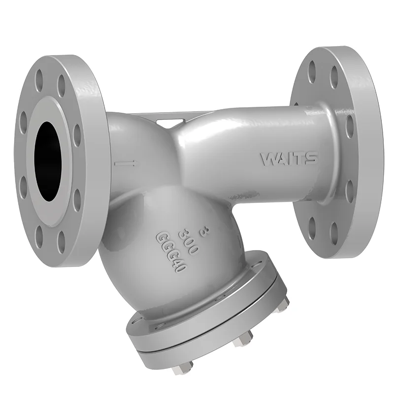 Iarann ​​insínte Y-Strainer